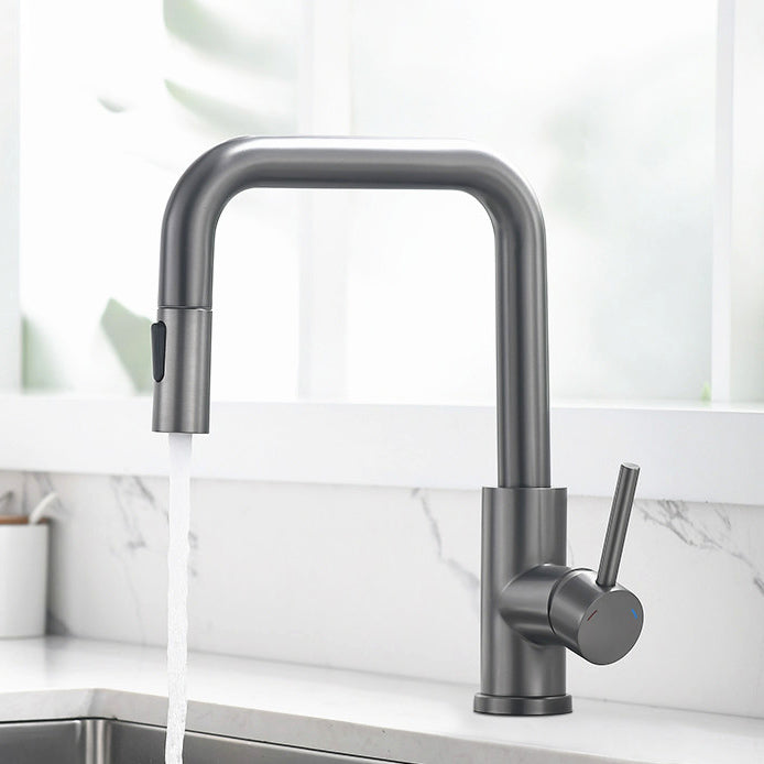 Modern Pull Out Single Rotary Switch Kitchen Faucet High Profile Faucet Clearhalo 'Home Improvement' 'home_improvement' 'home_improvement_kitchen_faucets' 'Kitchen Faucets' 'Kitchen Remodel & Kitchen Fixtures' 'Kitchen Sinks & Faucet Components' 'kitchen_faucets' 7182634