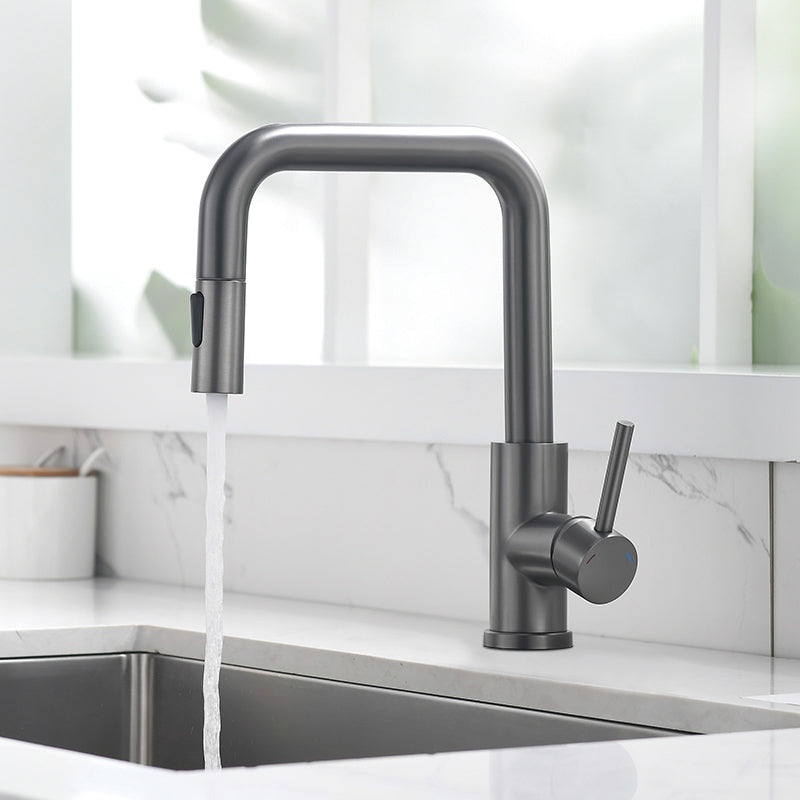 Modern Pull Out Single Rotary Switch Kitchen Faucet High Profile Faucet Gun Grey Dual Mode Clearhalo 'Home Improvement' 'home_improvement' 'home_improvement_kitchen_faucets' 'Kitchen Faucets' 'Kitchen Remodel & Kitchen Fixtures' 'Kitchen Sinks & Faucet Components' 'kitchen_faucets' 7182635