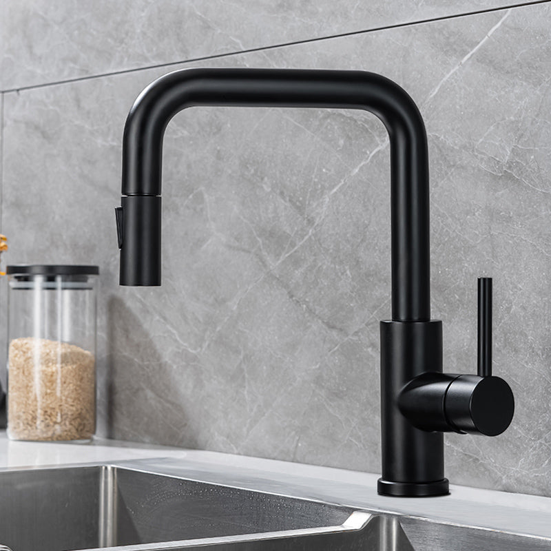 Modern Pull Out Single Rotary Switch Kitchen Faucet High Profile Faucet Black Dual Mode Clearhalo 'Home Improvement' 'home_improvement' 'home_improvement_kitchen_faucets' 'Kitchen Faucets' 'Kitchen Remodel & Kitchen Fixtures' 'Kitchen Sinks & Faucet Components' 'kitchen_faucets' 7182636