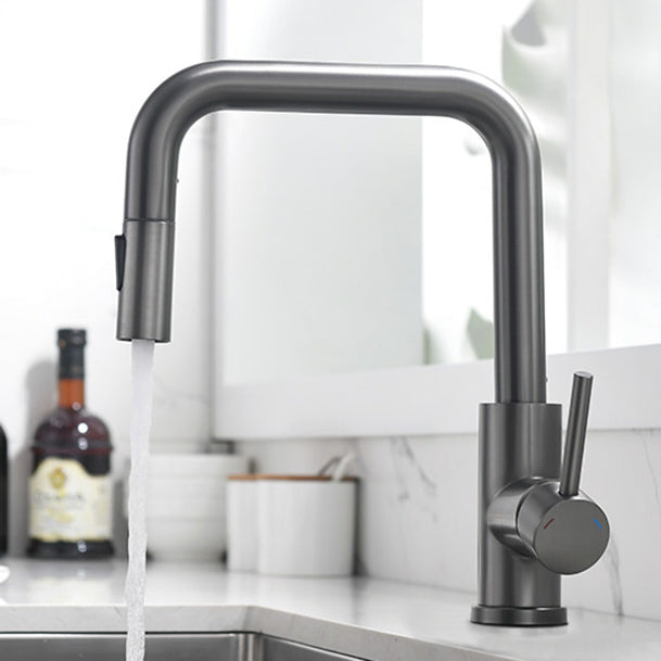 Modern Pull Out Single Rotary Switch Kitchen Faucet High Profile Faucet Clearhalo 'Home Improvement' 'home_improvement' 'home_improvement_kitchen_faucets' 'Kitchen Faucets' 'Kitchen Remodel & Kitchen Fixtures' 'Kitchen Sinks & Faucet Components' 'kitchen_faucets' 7182637