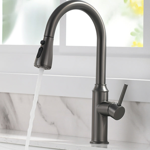 Modern Pull Out Single Rotary Switch Kitchen Faucet High Profile Faucet Clearhalo 'Home Improvement' 'home_improvement' 'home_improvement_kitchen_faucets' 'Kitchen Faucets' 'Kitchen Remodel & Kitchen Fixtures' 'Kitchen Sinks & Faucet Components' 'kitchen_faucets' 7182639