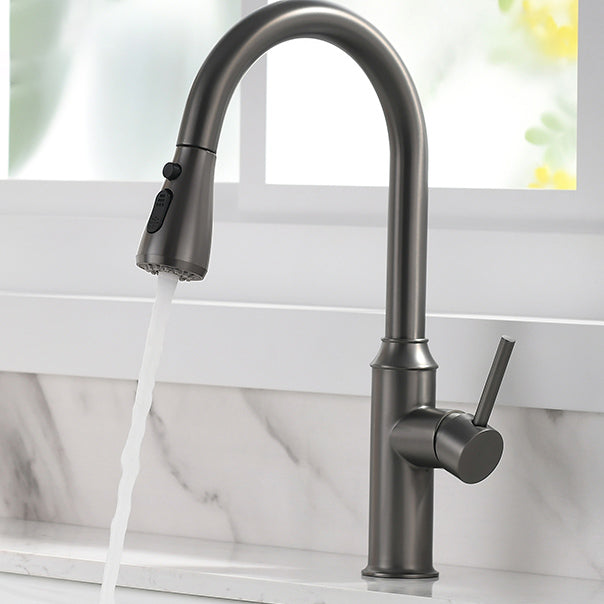 Modern Pull Out Single Rotary Switch Kitchen Faucet High Profile Faucet Clearhalo 'Home Improvement' 'home_improvement' 'home_improvement_kitchen_faucets' 'Kitchen Faucets' 'Kitchen Remodel & Kitchen Fixtures' 'Kitchen Sinks & Faucet Components' 'kitchen_faucets' 7182639