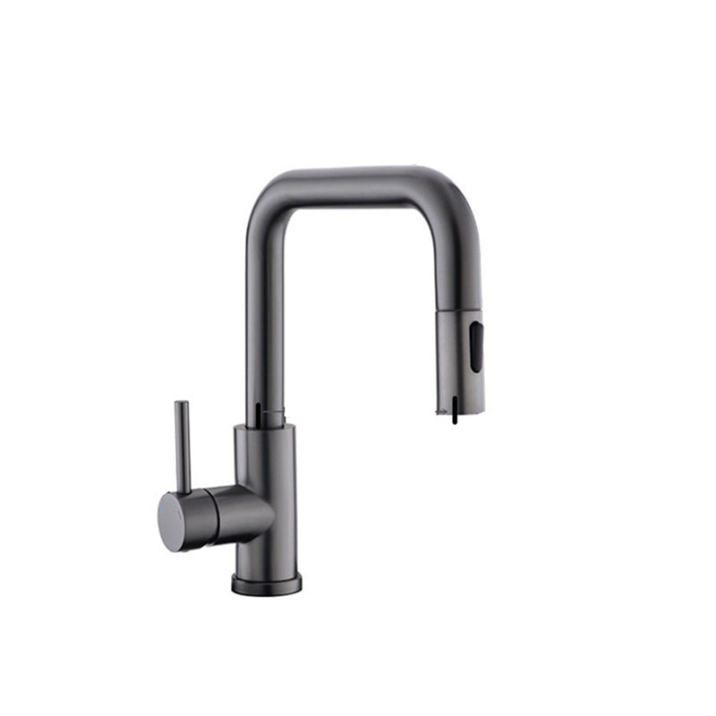 Modern Pull Out Single Rotary Switch Kitchen Faucet High Profile Faucet Clearhalo 'Home Improvement' 'home_improvement' 'home_improvement_kitchen_faucets' 'Kitchen Faucets' 'Kitchen Remodel & Kitchen Fixtures' 'Kitchen Sinks & Faucet Components' 'kitchen_faucets' 7182643