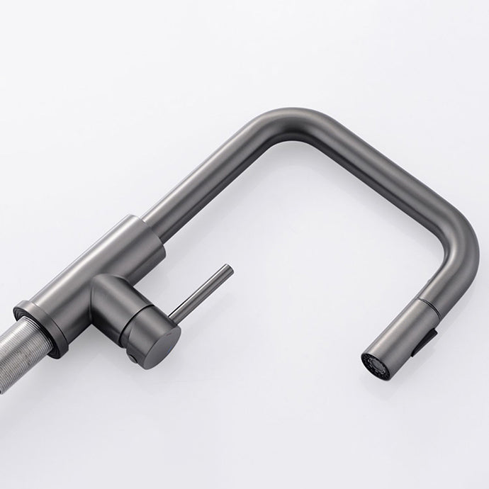 Modern Pull Out Single Rotary Switch Kitchen Faucet High Profile Faucet Clearhalo 'Home Improvement' 'home_improvement' 'home_improvement_kitchen_faucets' 'Kitchen Faucets' 'Kitchen Remodel & Kitchen Fixtures' 'Kitchen Sinks & Faucet Components' 'kitchen_faucets' 7182646