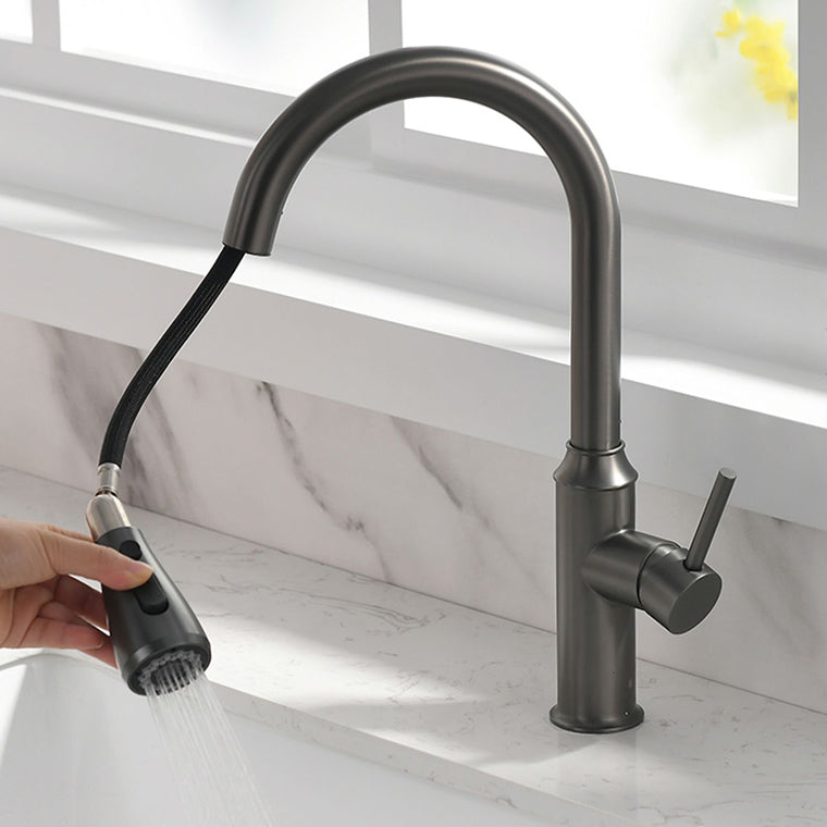 Modern Pull Out Single Rotary Switch Kitchen Faucet High Profile Faucet Clearhalo 'Home Improvement' 'home_improvement' 'home_improvement_kitchen_faucets' 'Kitchen Faucets' 'Kitchen Remodel & Kitchen Fixtures' 'Kitchen Sinks & Faucet Components' 'kitchen_faucets' 7182649