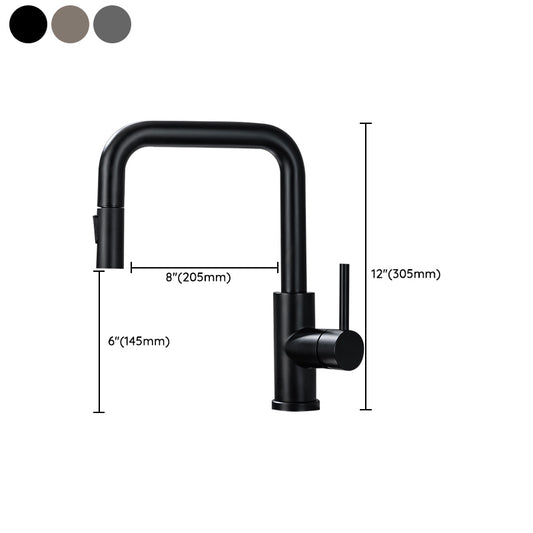 Modern Pull Out Single Rotary Switch Kitchen Faucet High Profile Faucet Clearhalo 'Home Improvement' 'home_improvement' 'home_improvement_kitchen_faucets' 'Kitchen Faucets' 'Kitchen Remodel & Kitchen Fixtures' 'Kitchen Sinks & Faucet Components' 'kitchen_faucets' 7182650