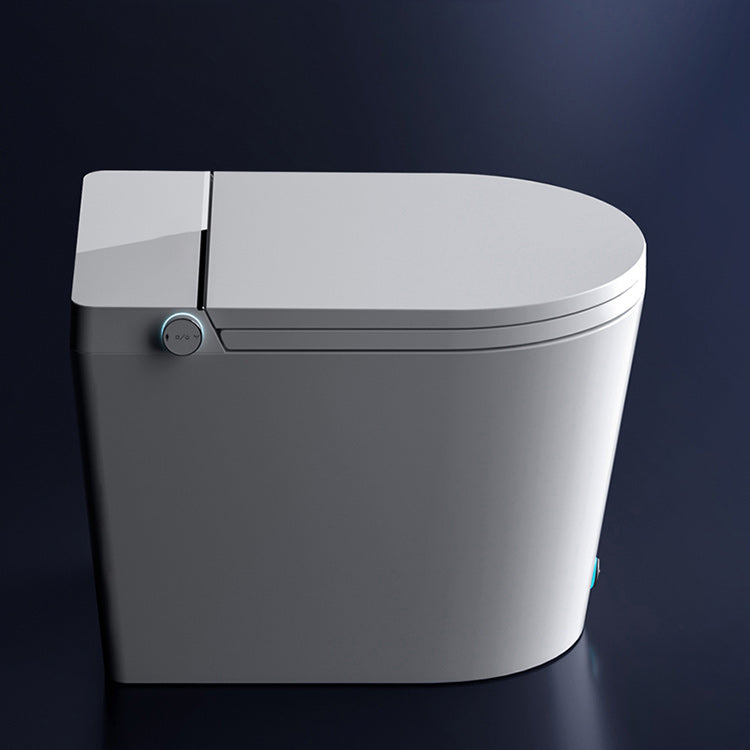 Temperature Control Elongated Seat Bidet in White All-In-One Smart Bidet with Heated Seat Clearhalo 'Bathroom Remodel & Bathroom Fixtures' 'Bidets' 'Home Improvement' 'home_improvement' 'home_improvement_bidets' 'Toilets & Bidets' 7194992