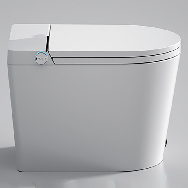 Temperature Control Elongated Seat Bidet in White All-In-One Smart Bidet with Heated Seat Clearhalo 'Bathroom Remodel & Bathroom Fixtures' 'Bidets' 'Home Improvement' 'home_improvement' 'home_improvement_bidets' 'Toilets & Bidets' 7194995