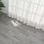 Scratch Resistant Vinyl Flooring Waterproof Self Peel and Stick Vinyl Flooring Grey Clearhalo 'Flooring 'Home Improvement' 'home_improvement' 'home_improvement_vinyl_flooring' 'Vinyl Flooring' 'vinyl_flooring' Walls and Ceiling' 7197958