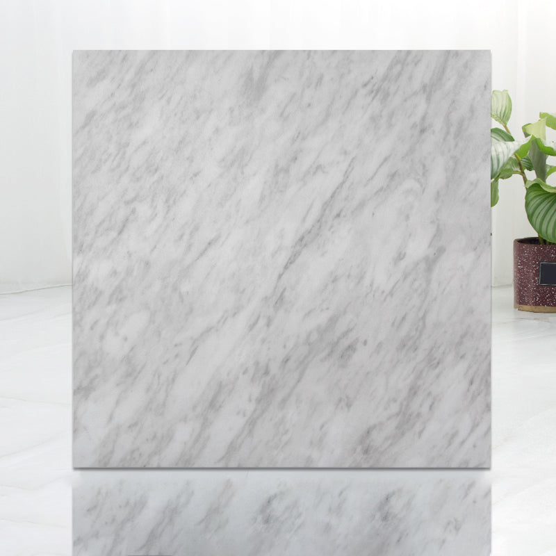 Modern Indoor Vinyl Flooring Peel and Stick Marble Print Vinyl Flooring Grey Clearhalo 'Flooring 'Home Improvement' 'home_improvement' 'home_improvement_vinyl_flooring' 'Vinyl Flooring' 'vinyl_flooring' Walls and Ceiling' 7198581