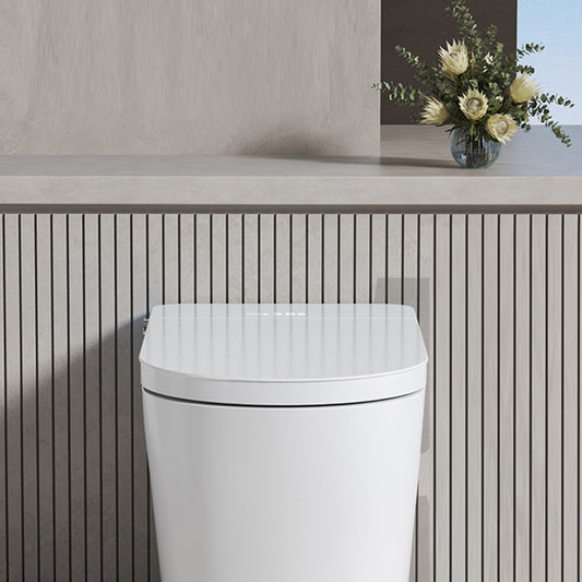 Contemporary Toilet Bowl One Piece Toilet Floor Mounted Toilet Clearhalo 'Bathroom Remodel & Bathroom Fixtures' 'Home Improvement' 'home_improvement' 'home_improvement_toilets' 'Toilets & Bidets' 'Toilets' 7204342