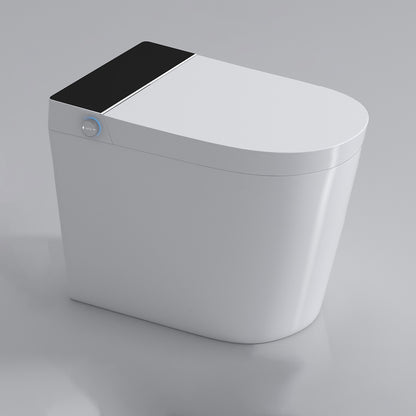 Modern Elongated Floor Mount Bidet Smart Bidet with Heated Seat Manual Flip (Standard) Clearhalo 'Bathroom Remodel & Bathroom Fixtures' 'Bidets' 'Home Improvement' 'home_improvement' 'home_improvement_bidets' 'Toilets & Bidets' 7204672