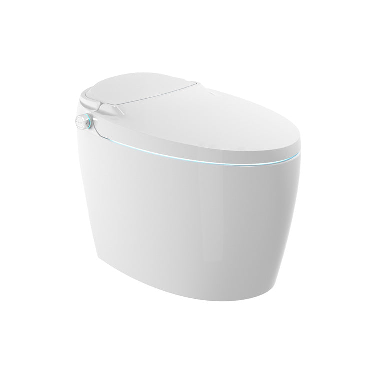 Electronic Toilet Seat in White Elongated Floor Standing Bidet with Heated Seat Clearhalo 'Bathroom Remodel & Bathroom Fixtures' 'Bidets' 'Home Improvement' 'home_improvement' 'home_improvement_bidets' 'Toilets & Bidets' 7204725