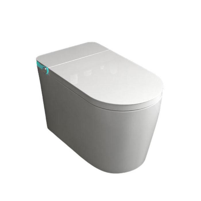 Electronic Toilet Seat Elongated Standing Bidet with Heated Seat Clearhalo 'Bathroom Remodel & Bathroom Fixtures' 'Bidets' 'Home Improvement' 'home_improvement' 'home_improvement_bidets' 'Toilets & Bidets' 7204735