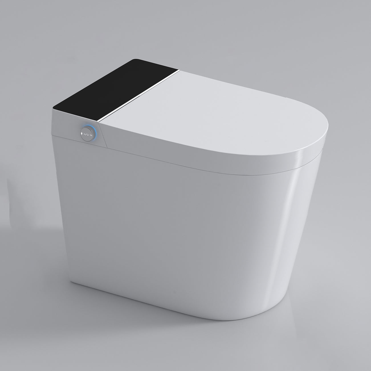 Contemporary Elongated Floor Mount Bidet White Smart Bidet with Bidet And Seat Black Clearhalo 'Bathroom Remodel & Bathroom Fixtures' 'Bidets' 'Home Improvement' 'home_improvement' 'home_improvement_bidets' 'Toilets & Bidets' 7204751