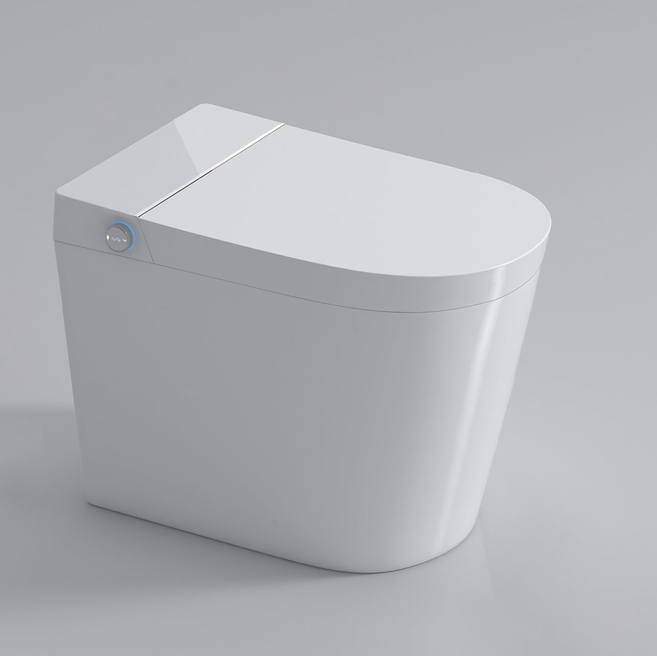 Contemporary Elongated Floor Mount Bidet White Smart Bidet with Bidet And Seat White Clearhalo 'Bathroom Remodel & Bathroom Fixtures' 'Bidets' 'Home Improvement' 'home_improvement' 'home_improvement_bidets' 'Toilets & Bidets' 7204755