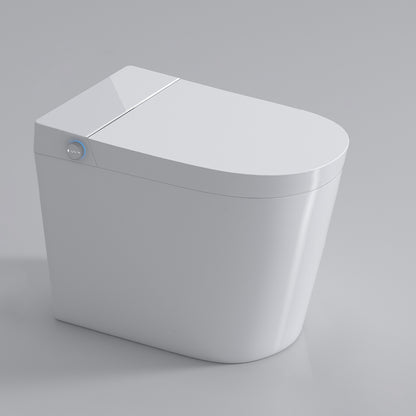 Contemporary Elongated Floor Mount Bidet White Smart Bidet with Bidet And Seat White Clearhalo 'Bathroom Remodel & Bathroom Fixtures' 'Bidets' 'Home Improvement' 'home_improvement' 'home_improvement_bidets' 'Toilets & Bidets' 7204755