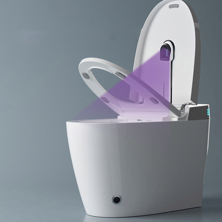 Elongated Floor Mount Bidet White Temperature Control Smart Bidet Clearhalo 'Bathroom Remodel & Bathroom Fixtures' 'Bidets' 'Home Improvement' 'home_improvement' 'home_improvement_bidets' 'Toilets & Bidets' 7204780