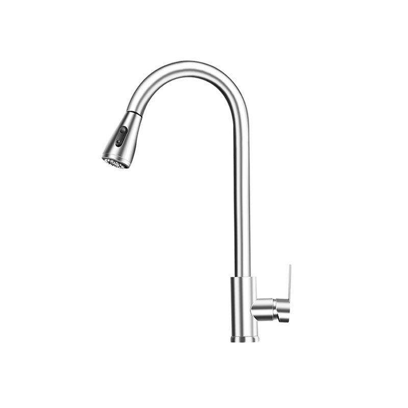 Pull Out Kitchen Faucet Single Handle Faucet with Pull Out Sprayer Silver Dual Mode Supply Lines Included Clearhalo 'Home Improvement' 'home_improvement' 'home_improvement_kitchen_faucets' 'Kitchen Faucets' 'Kitchen Remodel & Kitchen Fixtures' 'Kitchen Sinks & Faucet Components' 'kitchen_faucets' 7228862