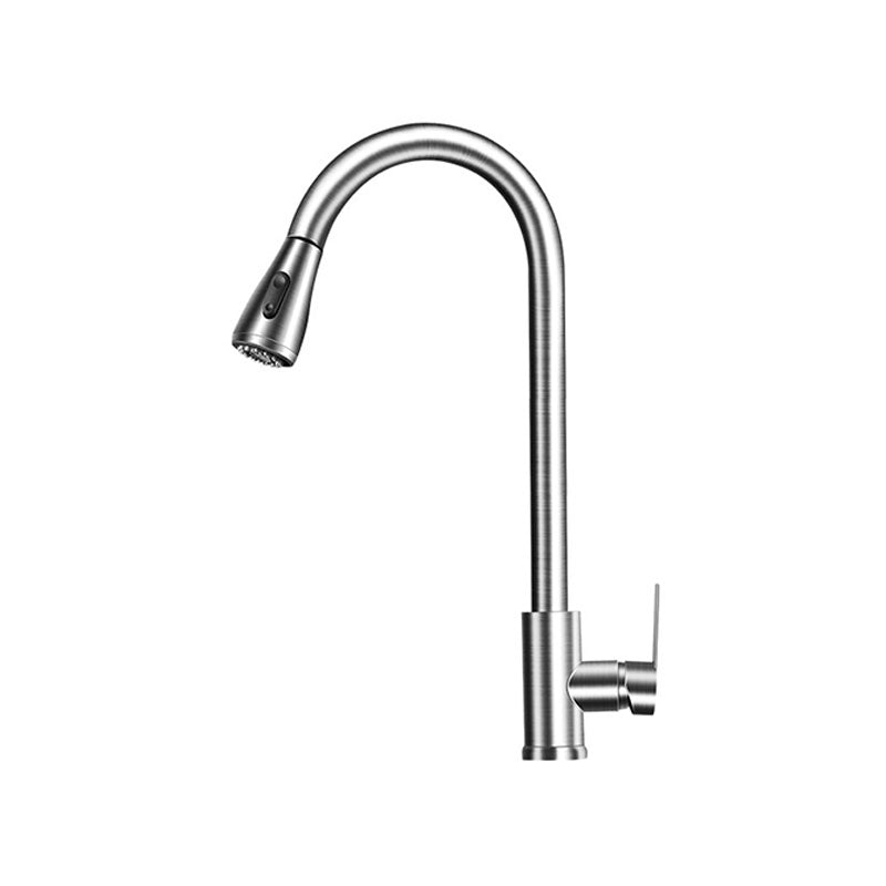Pull Out Kitchen Faucet Single Handle Faucet with Pull Out Sprayer Nickel Dual Mode Supply Lines Included Clearhalo 'Home Improvement' 'home_improvement' 'home_improvement_kitchen_faucets' 'Kitchen Faucets' 'Kitchen Remodel & Kitchen Fixtures' 'Kitchen Sinks & Faucet Components' 'kitchen_faucets' 7228864