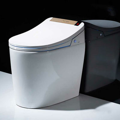 Elongated Floor Standing Bidet Vitreous China Bidets Floor Mount Bidet Manual Flip Clearhalo 'Bathroom Remodel & Bathroom Fixtures' 'Bidets' 'Home Improvement' 'home_improvement' 'home_improvement_bidets' 'Toilets & Bidets' 7230738