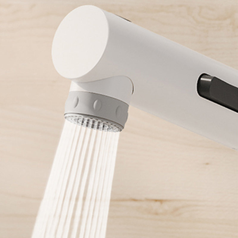 Vessel Sink Bathroom Faucet Lever Handle Low Arc with Pull down Sprayer Clearhalo 'Bathroom Remodel & Bathroom Fixtures' 'Bathroom Sink Faucets' 'Bathroom Sinks & Faucet Components' 'bathroom_sink_faucets' 'Casa' 'Home Improvement' 'home_improvement' 'home_improvement_bathroom_sink_faucets' 7233538