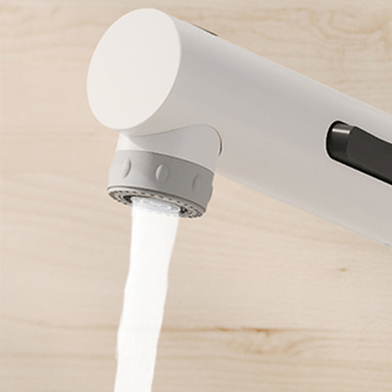 Vessel Sink Bathroom Faucet Lever Handle Low Arc with Pull down Sprayer Clearhalo 'Bathroom Remodel & Bathroom Fixtures' 'Bathroom Sink Faucets' 'Bathroom Sinks & Faucet Components' 'bathroom_sink_faucets' 'Casa' 'Home Improvement' 'home_improvement' 'home_improvement_bathroom_sink_faucets' 7233539