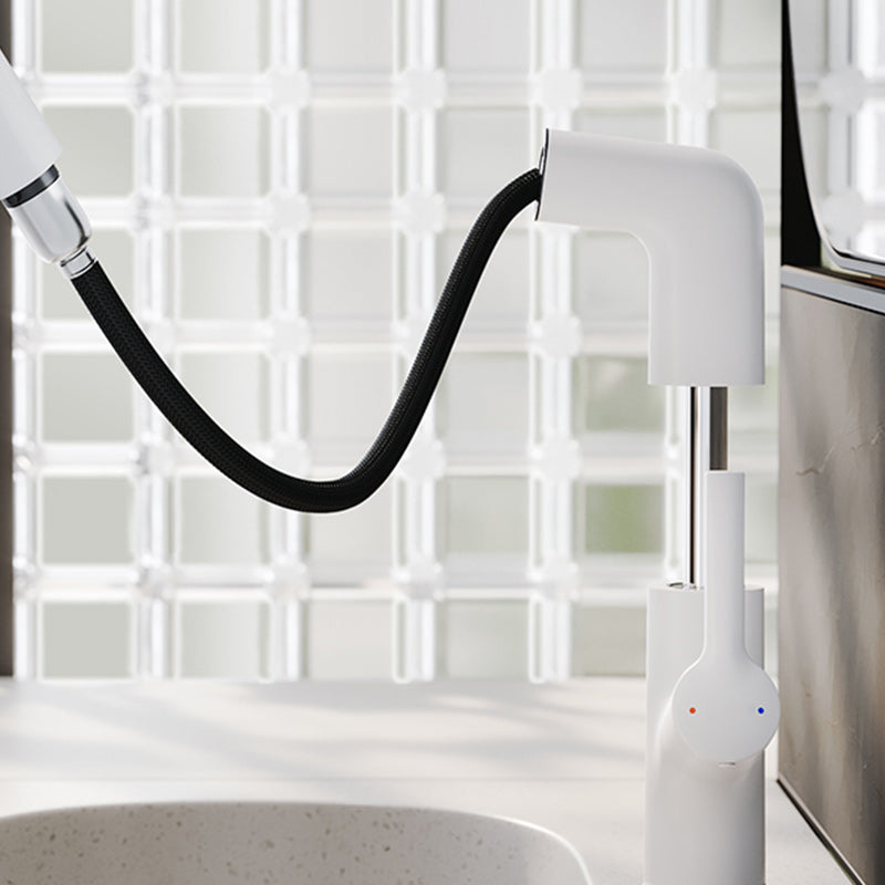 High-Arc Bathroom Vessel Faucet Swivel Spout with Pull Out Sprayer Clearhalo 'Bathroom Remodel & Bathroom Fixtures' 'Bathroom Sink Faucets' 'Bathroom Sinks & Faucet Components' 'bathroom_sink_faucets' 'Home Improvement' 'home_improvement' 'home_improvement_bathroom_sink_faucets' 7233550
