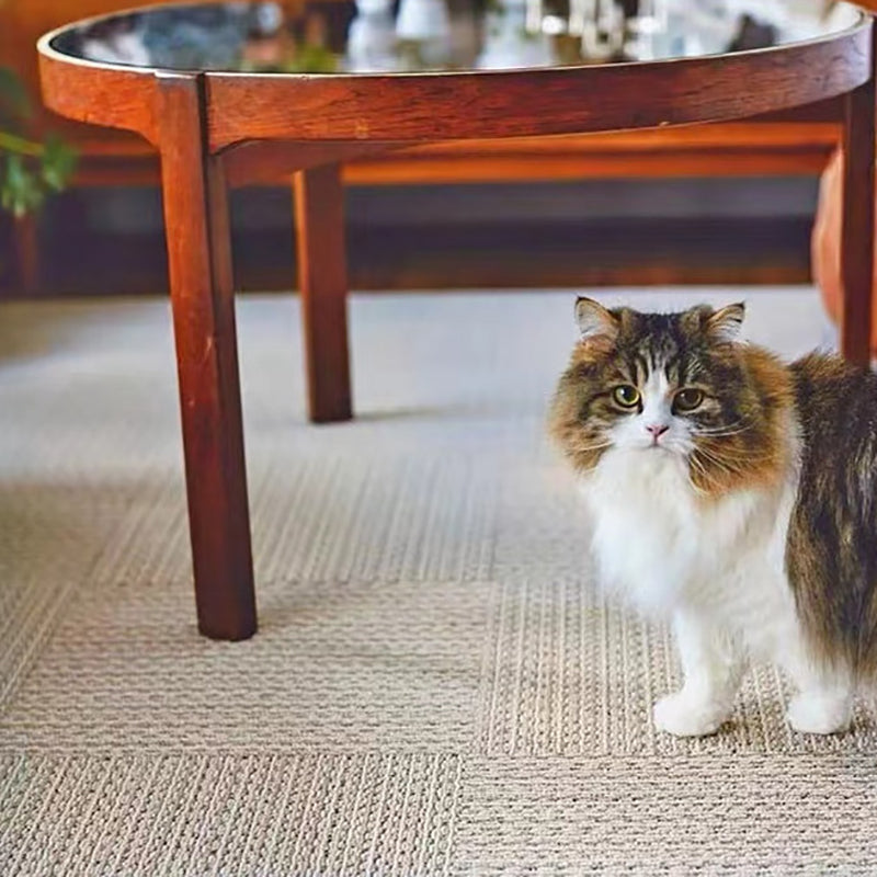 Home Indoor Carpet Tiles Solid Color Square Stain Resistant Carpet Tiles Clearhalo 'Carpet Tiles & Carpet Squares' 'carpet_tiles_carpet_squares' 'Flooring 'Home Improvement' 'home_improvement' 'home_improvement_carpet_tiles_carpet_squares' Walls and Ceiling' 7242318