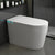 Modern Floor Standing Bidet with Water Pressure Control in White White Clearhalo 'Bathroom Remodel & Bathroom Fixtures' 'Bidets' 'Home Improvement' 'home_improvement' 'home_improvement_bidets' 'Toilets & Bidets' 7251683