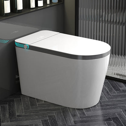 Modern Floor Standing Bidet with Water Pressure Control in White Gray-White Clearhalo 'Bathroom Remodel & Bathroom Fixtures' 'Bidets' 'Home Improvement' 'home_improvement' 'home_improvement_bidets' 'Toilets & Bidets' 7251684