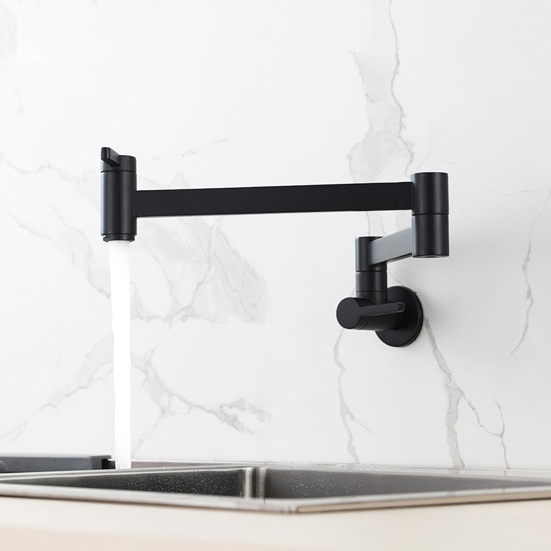 Modern Double Handle Wall Mounted Pot Filler Low Profile Filler Black Clearhalo 'Home Improvement' 'home_improvement' 'home_improvement_kitchen_faucets' 'Kitchen Faucets' 'Kitchen Remodel & Kitchen Fixtures' 'Kitchen Sinks & Faucet Components' 'kitchen_faucets' 7260099