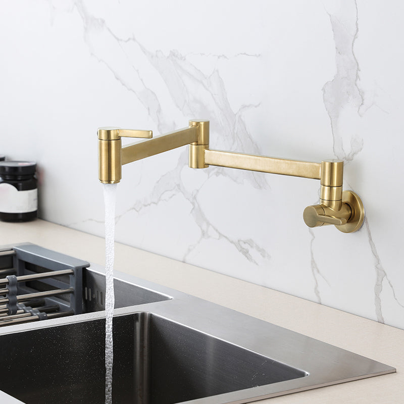 Modern Double Handle Wall Mounted Pot Filler Low Profile Filler Gold Clearhalo 'Home Improvement' 'home_improvement' 'home_improvement_kitchen_faucets' 'Kitchen Faucets' 'Kitchen Remodel & Kitchen Fixtures' 'Kitchen Sinks & Faucet Components' 'kitchen_faucets' 7260100