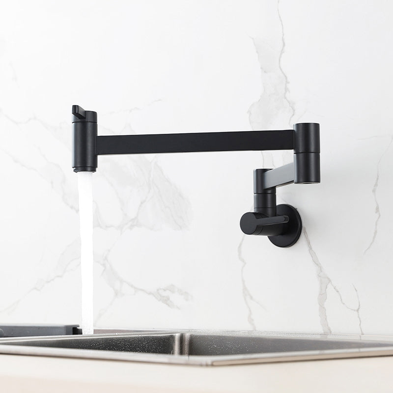 Modern Double Handle Wall Mounted Pot Filler Low Profile Filler Clearhalo 'Home Improvement' 'home_improvement' 'home_improvement_kitchen_faucets' 'Kitchen Faucets' 'Kitchen Remodel & Kitchen Fixtures' 'Kitchen Sinks & Faucet Components' 'kitchen_faucets' 7260103