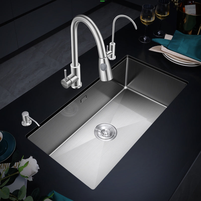Single Bowl Kitchen Sink Stainless Steel Kitchen Sink with Drain Assembly Clearhalo 'Home Improvement' 'home_improvement' 'home_improvement_kitchen_sinks' 'Kitchen Remodel & Kitchen Fixtures' 'Kitchen Sinks & Faucet Components' 'Kitchen Sinks' 'kitchen_sinks' 7263317