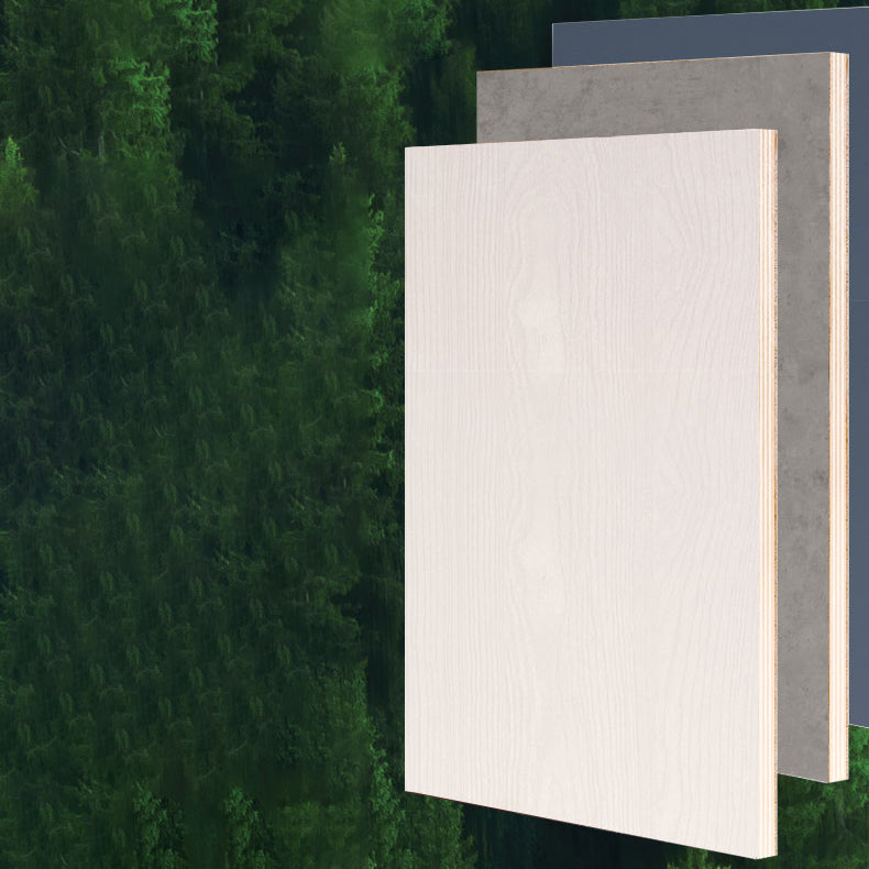 Wall Mounted Vanity White Wood Frame Rectangular 2 Doors Single Sink Vanity with Mirror Clearhalo 'Bathroom Remodel & Bathroom Fixtures' 'Bathroom Vanities' 'bathroom_vanities' 'Home Improvement' 'home_improvement' 'home_improvement_bathroom_vanities' 7276768