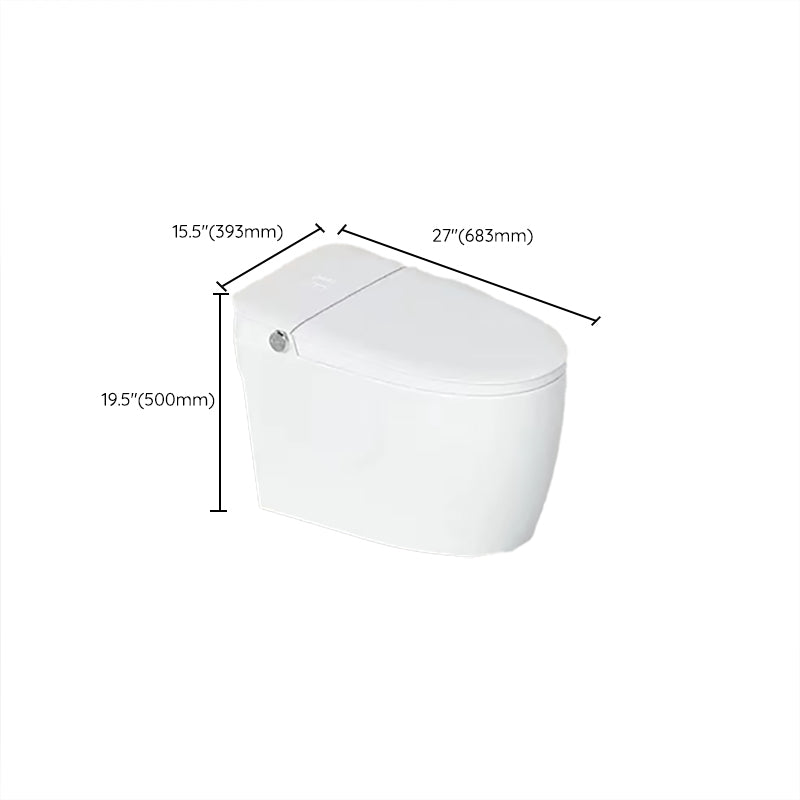 Elongated Floor Standing Bidet with Antimicrobial Heated Seat Clearhalo 'Bathroom Remodel & Bathroom Fixtures' 'Bidets' 'Home Improvement' 'home_improvement' 'home_improvement_bidets' 'Toilets & Bidets' 7284957