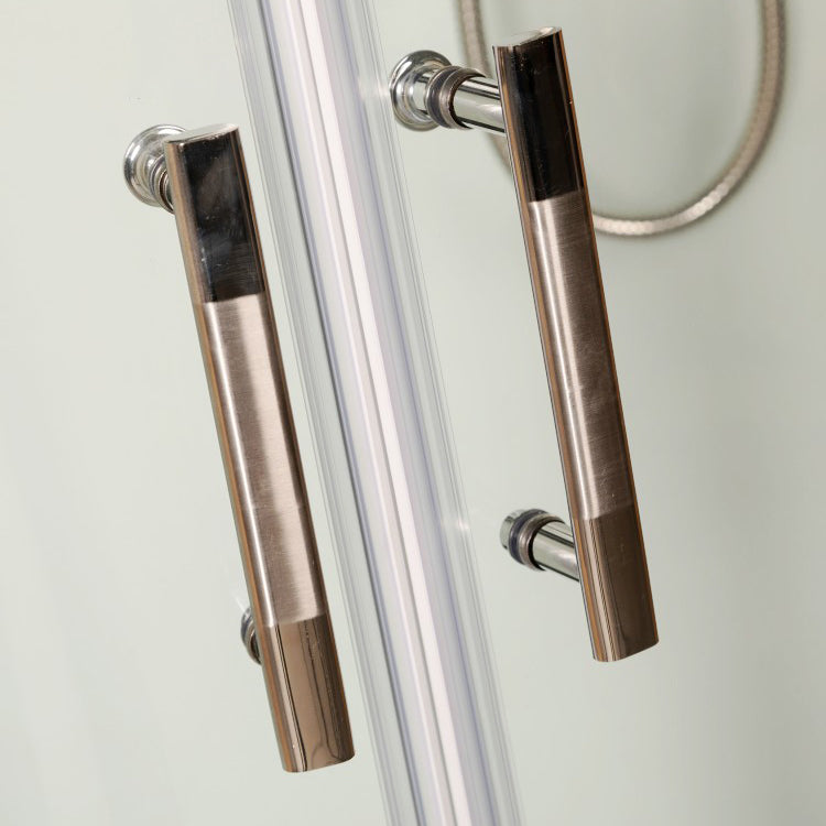 Tempered Glass Shower Stall Black Double Sliding Door Shower Enclosure Clearhalo 'Bathroom Remodel & Bathroom Fixtures' 'Home Improvement' 'home_improvement' 'home_improvement_shower_stalls_enclosures' 'Shower Stalls & Enclosures' 'shower_stalls_enclosures' 'Showers & Bathtubs' 7289066