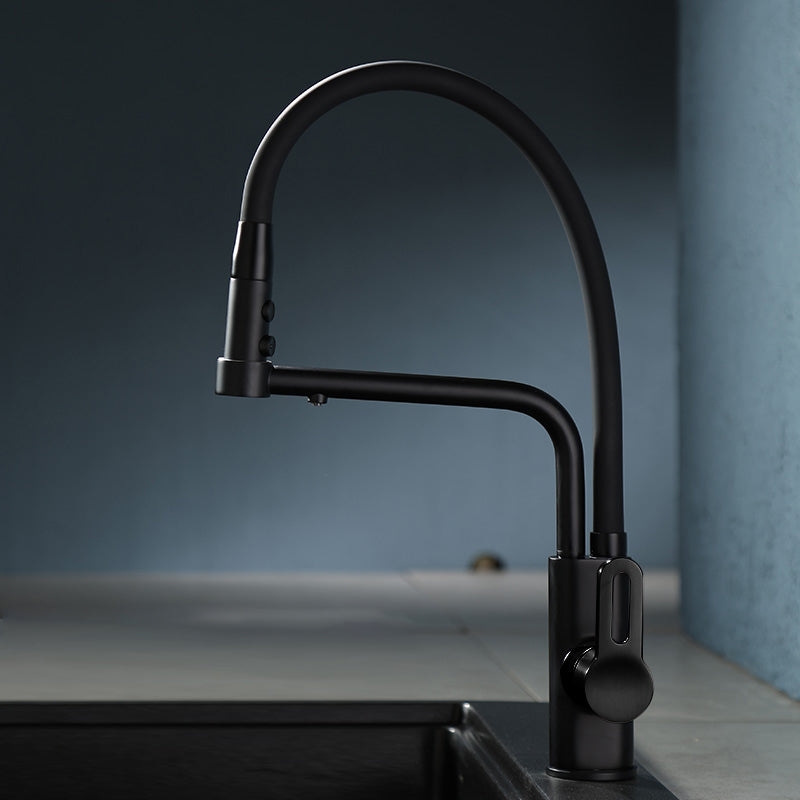 Modern Pull Down Single Handle Kitchen Faucet Desk Mounted Faucet Black Clearhalo 'Home Improvement' 'home_improvement' 'home_improvement_kitchen_faucets' 'Kitchen Faucets' 'Kitchen Remodel & Kitchen Fixtures' 'Kitchen Sinks & Faucet Components' 'kitchen_faucets' 7297421