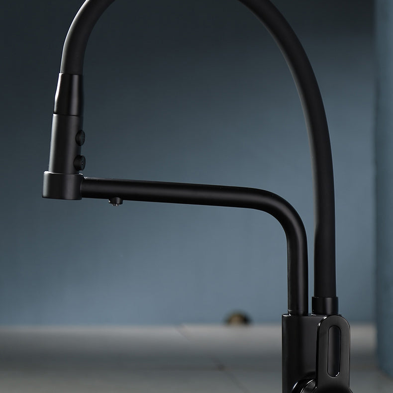 Modern Pull Down Single Handle Kitchen Faucet Desk Mounted Faucet Clearhalo 'Home Improvement' 'home_improvement' 'home_improvement_kitchen_faucets' 'Kitchen Faucets' 'Kitchen Remodel & Kitchen Fixtures' 'Kitchen Sinks & Faucet Components' 'kitchen_faucets' 7297430