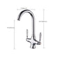 Contemporary Double Handle Kitchen Faucet High Arch Water Filler in Chrome Clearhalo 'Home Improvement' 'home_improvement' 'home_improvement_kitchen_faucets' 'Kitchen Faucets' 'Kitchen Remodel & Kitchen Fixtures' 'Kitchen Sinks & Faucet Components' 'kitchen_faucets' 7297446