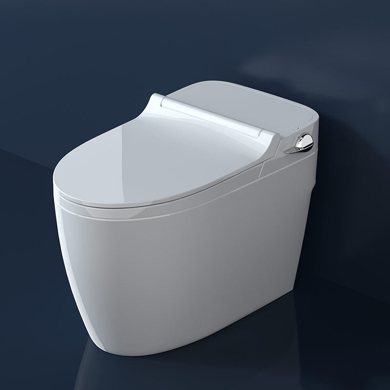 Elongated Floor Mount Bidet Vitreous China Bidet without Water Pressure Control White Side Button Clearhalo 'Bathroom Remodel & Bathroom Fixtures' 'Bidets' 'Home Improvement' 'home_improvement' 'home_improvement_bidets' 'Toilets & Bidets' 7312950