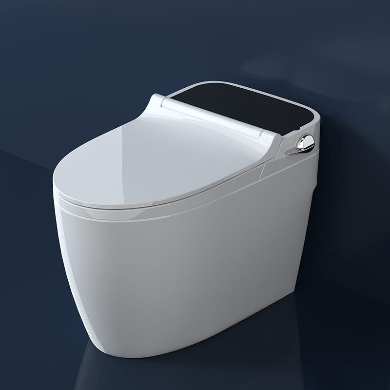 Elongated Floor Mount Bidet Vitreous China Bidet without Water Pressure Control White/ Black Side Button Clearhalo 'Bathroom Remodel & Bathroom Fixtures' 'Bidets' 'Home Improvement' 'home_improvement' 'home_improvement_bidets' 'Toilets & Bidets' 7312954
