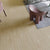 Peel and Stick PVC Flooring Smooth Wood Look Effect Non-slip Vinyl Flooring Light Brown Clearhalo 'Flooring 'Home Improvement' 'home_improvement' 'home_improvement_vinyl_flooring' 'Vinyl Flooring' 'vinyl_flooring' Walls and Ceiling' 7326003