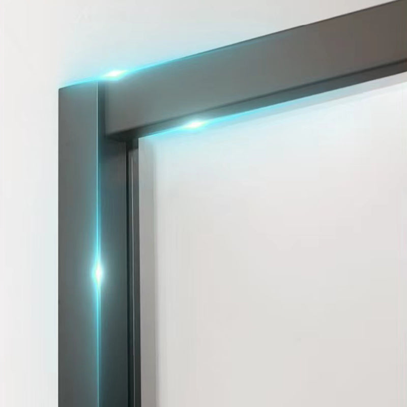 Transparent Tempered Shower Door Pivot Gray Framed Shower Bath Door Clearhalo 'Bathroom Remodel & Bathroom Fixtures' 'Home Improvement' 'home_improvement' 'home_improvement_shower_tub_doors' 'Shower and Tub Doors' 'shower_tub_doors' 'Showers & Bathtubs' 7337644