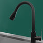 Modern Style Kitchen Faucet Copper Lever Handle Gooseneck Kitchen Faucet Black Shower Water + Water Column Water Clearhalo 'Home Improvement' 'home_improvement' 'home_improvement_kitchen_faucets' 'Kitchen Faucets' 'Kitchen Remodel & Kitchen Fixtures' 'Kitchen Sinks & Faucet Components' 'kitchen_faucets' 7348942