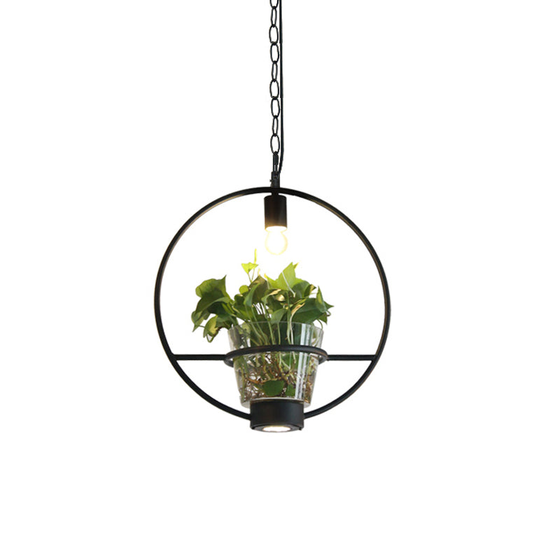 Black 1 Light Down Lighting Industrial Iron Circular/Rectangular Cage Drop Pendant with Clear Glass Plant Pot Clearhalo 'Art Deco Pendants' 'Black' 'Cast Iron' 'Ceiling Lights' 'Ceramic' 'Crystal' 'Industrial Pendants' 'Industrial' 'Metal' 'Middle Century Pendants' 'Pendant Lights' 'Pendants' 'Rustic Pendants' 'Tiffany' Lighting' 735818