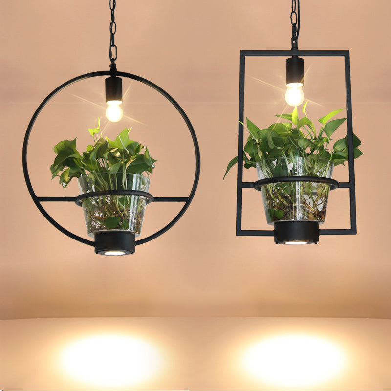 Black 1 Light Down Lighting Industrial Iron Circular/Rectangular Cage Drop Pendant with Clear Glass Plant Pot Clearhalo 'Art Deco Pendants' 'Black' 'Cast Iron' 'Ceiling Lights' 'Ceramic' 'Crystal' 'Industrial Pendants' 'Industrial' 'Metal' 'Middle Century Pendants' 'Pendant Lights' 'Pendants' 'Rustic Pendants' 'Tiffany' Lighting' 735821