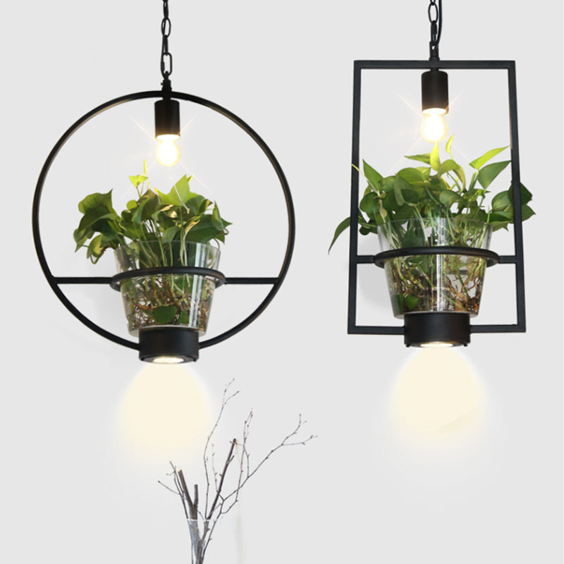 Black 1 Light Down Lighting Industrial Iron Circular/Rectangular Cage Drop Pendant with Clear Glass Plant Pot Clearhalo 'Art Deco Pendants' 'Black' 'Cast Iron' 'Ceiling Lights' 'Ceramic' 'Crystal' 'Industrial Pendants' 'Industrial' 'Metal' 'Middle Century Pendants' 'Pendant Lights' 'Pendants' 'Rustic Pendants' 'Tiffany' Lighting' 735822