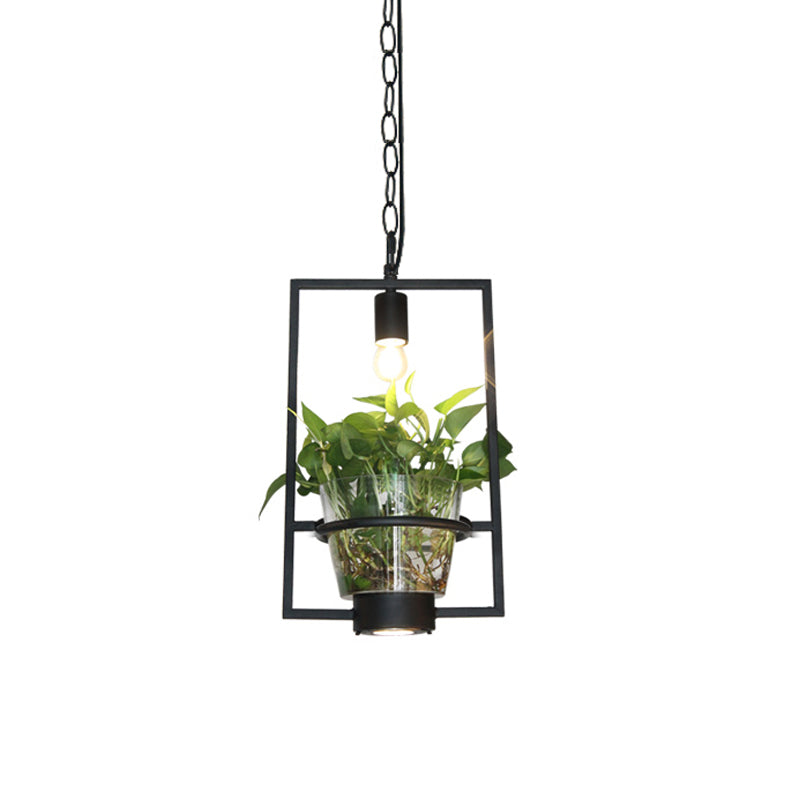 Black 1 Light Down Lighting Industrial Iron Circular/Rectangular Cage Drop Pendant with Clear Glass Plant Pot Clearhalo 'Art Deco Pendants' 'Black' 'Cast Iron' 'Ceiling Lights' 'Ceramic' 'Crystal' 'Industrial Pendants' 'Industrial' 'Metal' 'Middle Century Pendants' 'Pendant Lights' 'Pendants' 'Rustic Pendants' 'Tiffany' Lighting' 735823